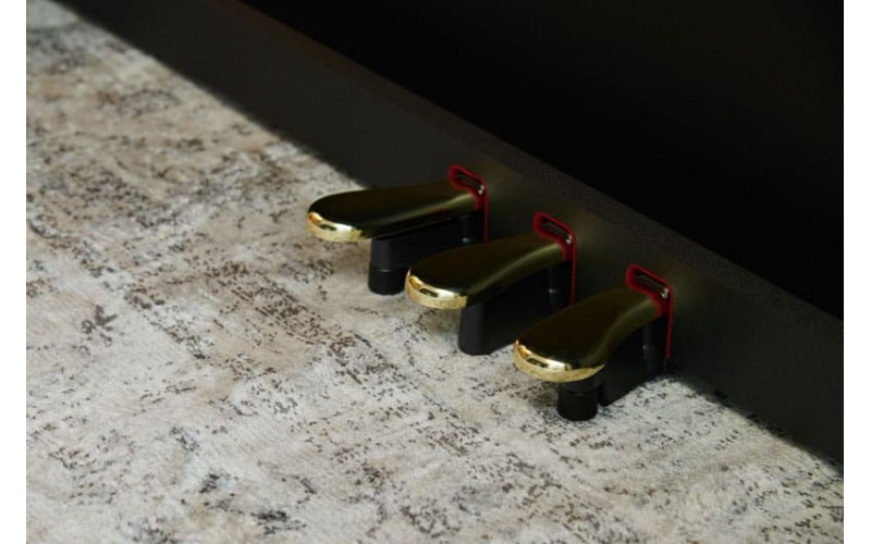 Цифровое фортепиано CASIO AP-300BK Celviano