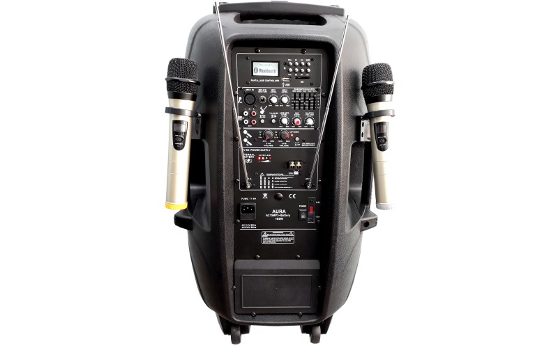 Активная акустическая система со встроенным аккумулятором AURA A215MP3-Battary