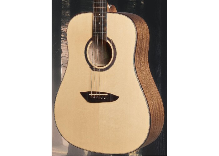 Акустическая гитара Gopherwood G100