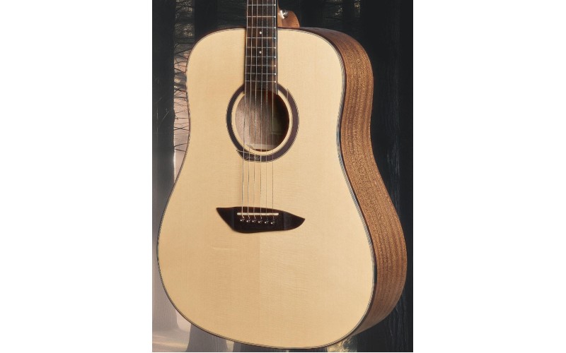 Акустическая гитара Gopherwood G100
