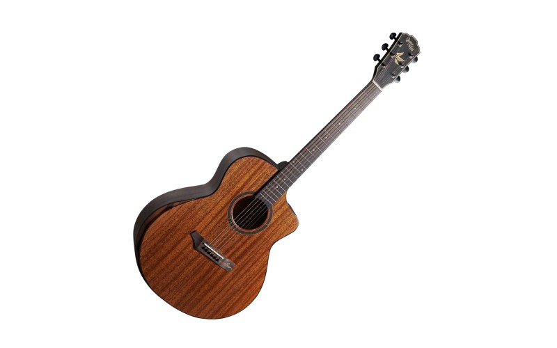 Акустическая гитара GopherWood i256MC