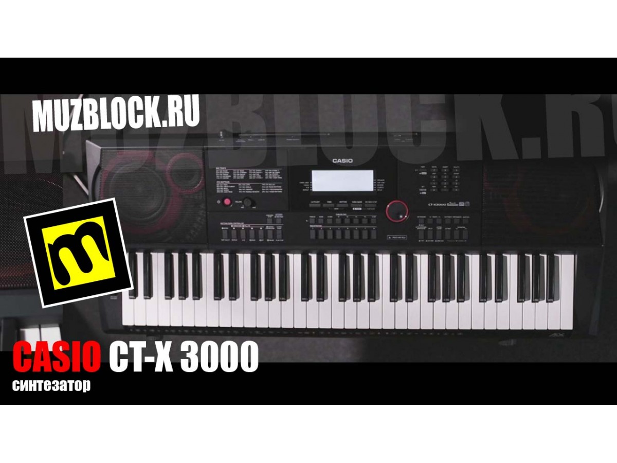 Синтезатор Casio CT-X3000 обзор, видео обзор