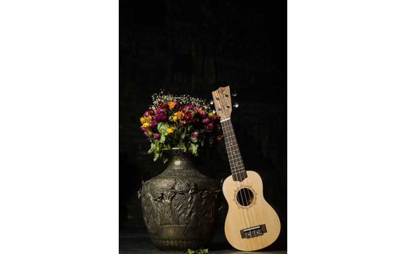 FLIGHT DUS 320 SP/ZEB - укулеле, сопрано