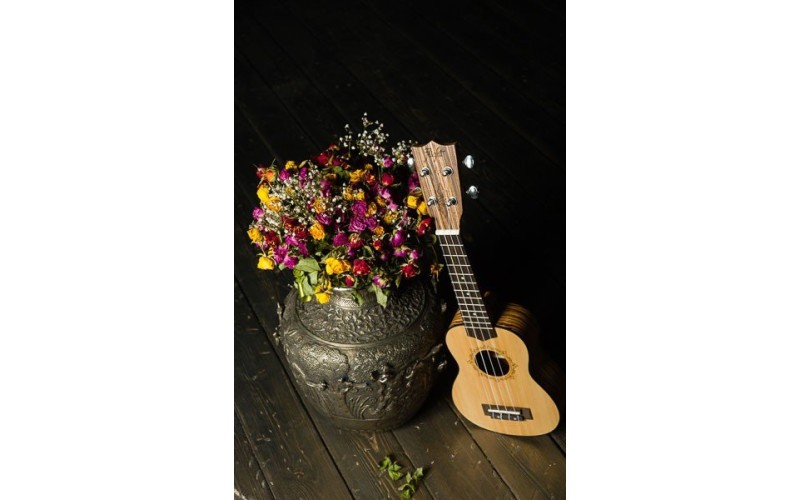 FLIGHT DUS 320 SP/ZEB - укулеле, сопрано