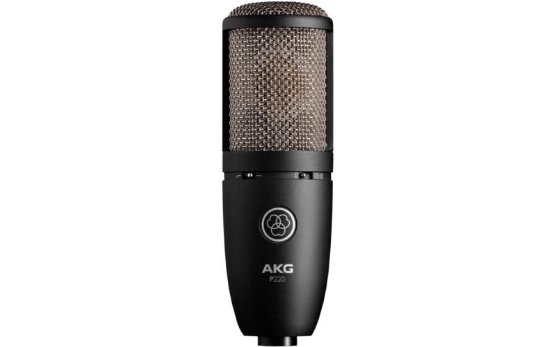 AKG P220 Perception  микрофон конденсаторный кардиоидный