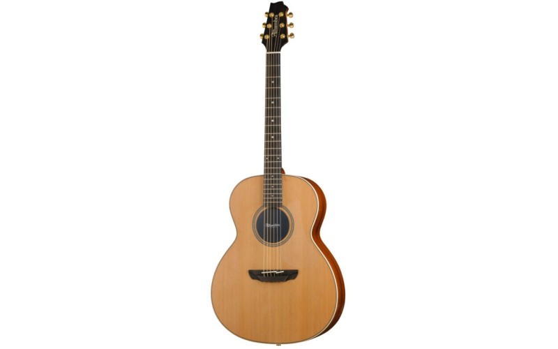 Alhambra A-CSp E9 Электроакустическая гитара, с ремнем и чехлом