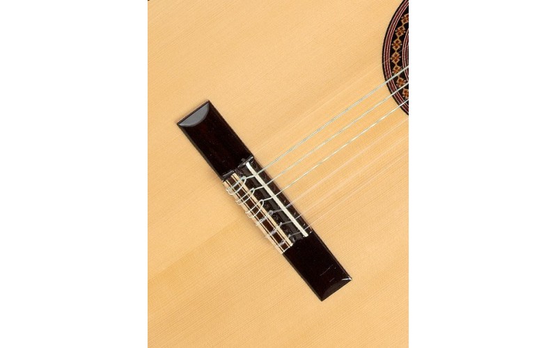 ALHAMBRA Iberia Ziricote Classical Student - Испанская классическая гитара