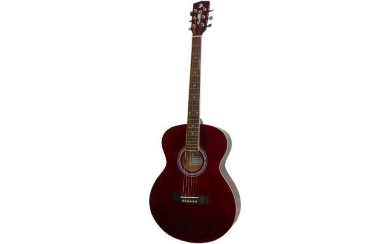 ALICANTE ROCK WRS - акустическая гитара