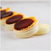ALICE A013-1 - Канифоль для скрипки в круглой пластиковой коробочке