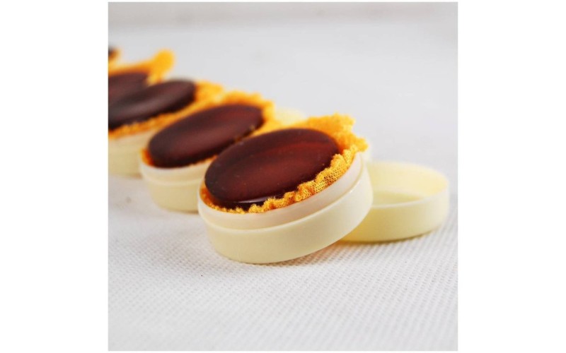 ALICE A013-1 - Канифоль для скрипки в круглой пластиковой коробочке