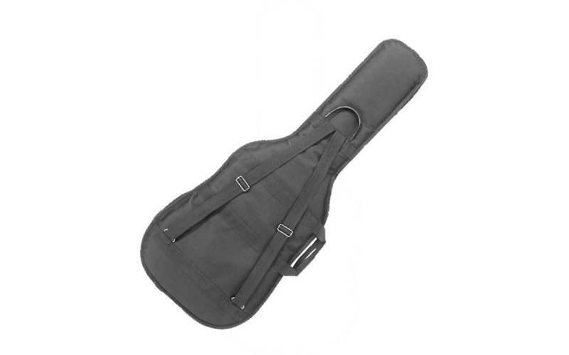 АМС ГБ2 В чехол для бас-гитары со вставкой