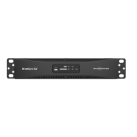 Audiocenter Braincore CU аудиопроцессор 2 входа