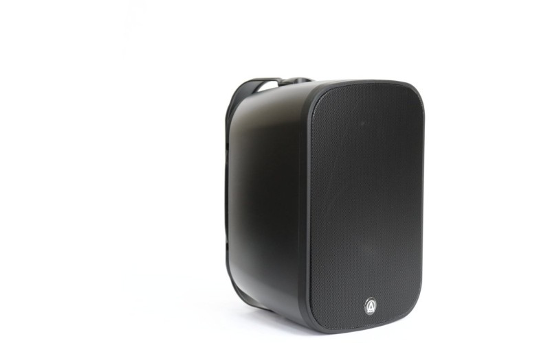 AuraSonics DENSE-6T акустическая система настенная