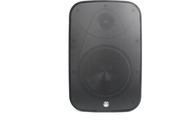 AuraSonics DENSE-6T акустическая система настенная