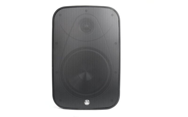 AuraSonics DENSE-8T  акустическая система настенная