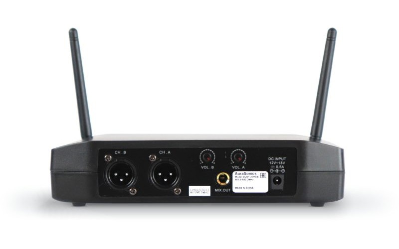 AuraSonics DUET 20S1 двойная радиосистема