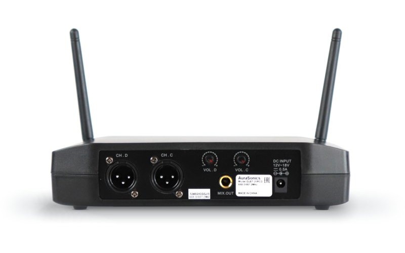 AuraSonics DUET 20S2 двойная радиосистема