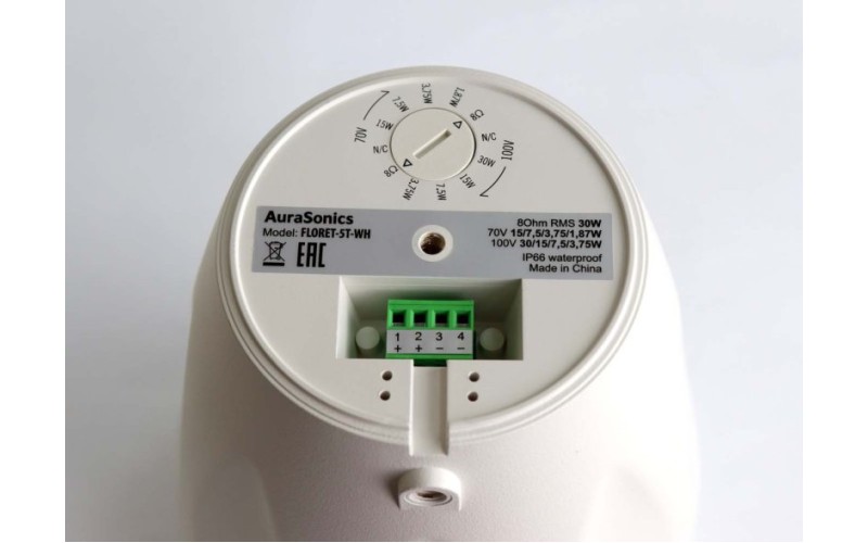 AuraSonics FLORET-5T-WH акустическая система