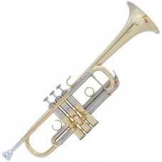 BACH AC190 - труба C