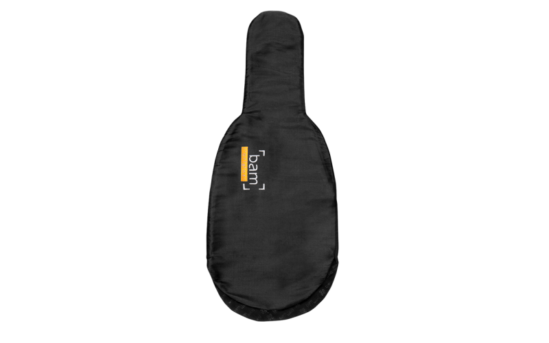 BAM IC0048 чехол для альта