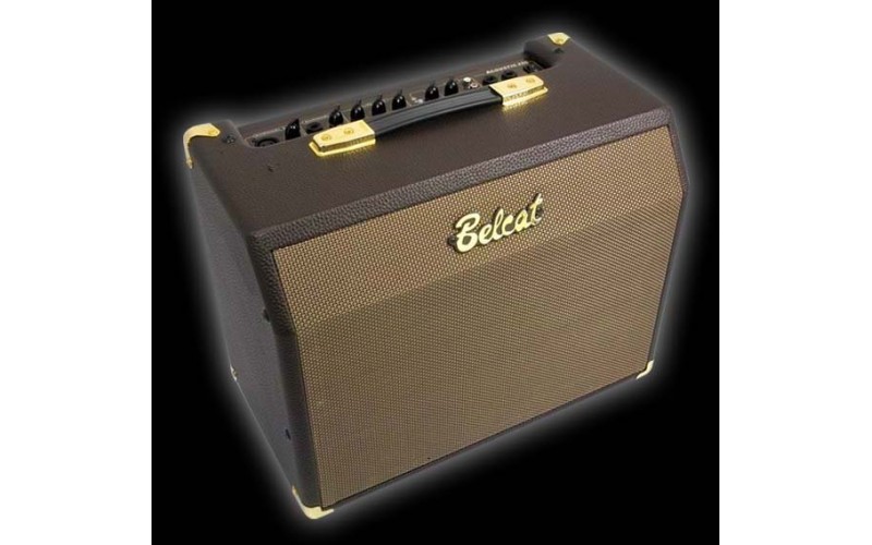 BELCAT Acoustic 25C комбик для акустической гитары, 25W