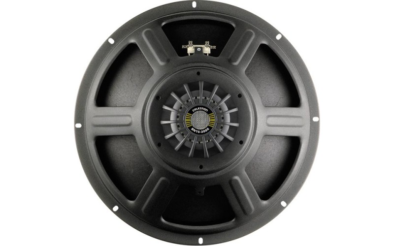 Celestion T5636AWD BN15-300X Динамик 15