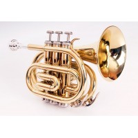 Conductor FLT-PT-L Труба компактная, Bb-key, лакированная, цвет - золото