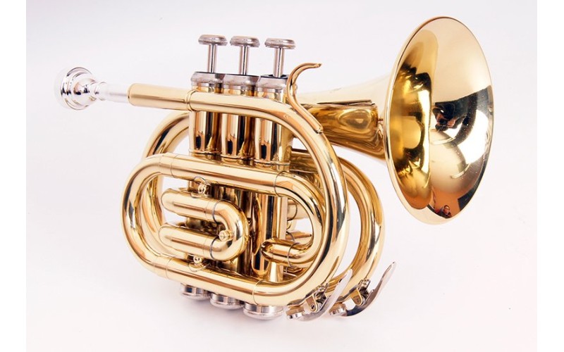 Conductor FLT-PT-L Труба компактная, Bb-key, лакированная, цвет - золото