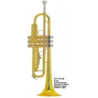 Conductor FLT-TR-3B Труба