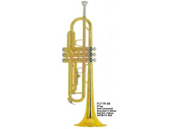 Conductor FLT-TR-3B Труба