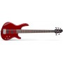 CORT Action Bass V Plus TR - бас-гитара 5 струн