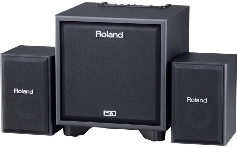 ROLAND CUBE-MONITOR-110 - инструментальный усилитель