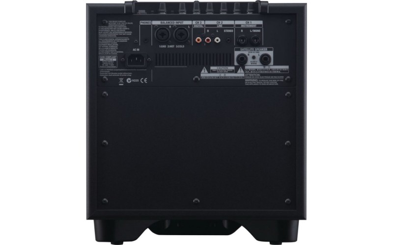 ROLAND CUBE-MONITOR-110 - инструментальный усилитель