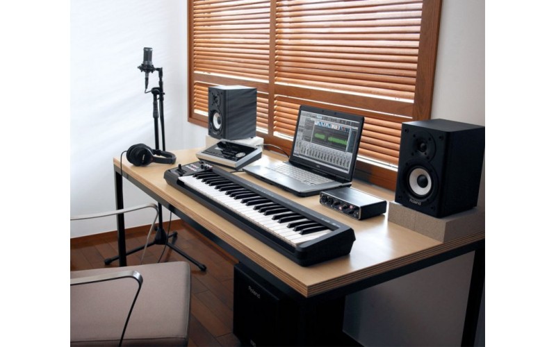 ROLAND CUBE-MONITOR-110 - инструментальный усилитель