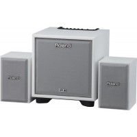 ROLAND CUBE-MONITOR-110-WH (CM-110) - инструментальный усилитель