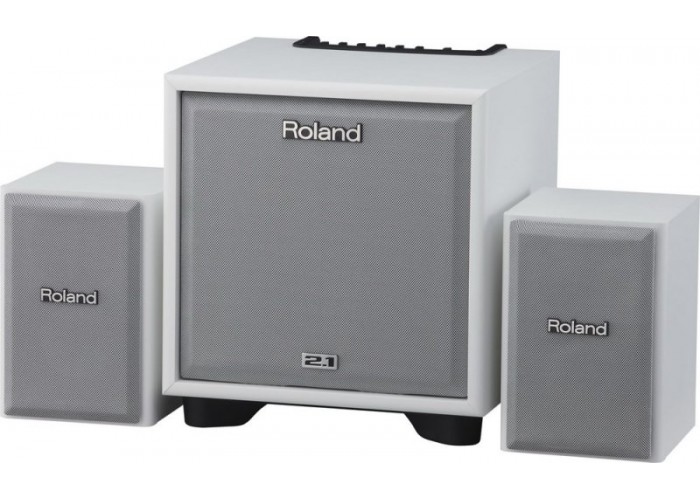 ROLAND CUBE-MONITOR-110-WH (CM-110) - инструментальный усилитель