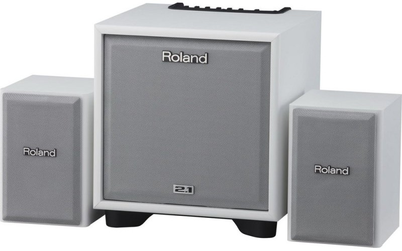 ROLAND CUBE-MONITOR-110-WH (CM-110) - инструментальный усилитель