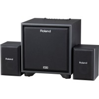 ROLAND CUBE-MONITOR-220 (CM-220) - инструментальный усилитель