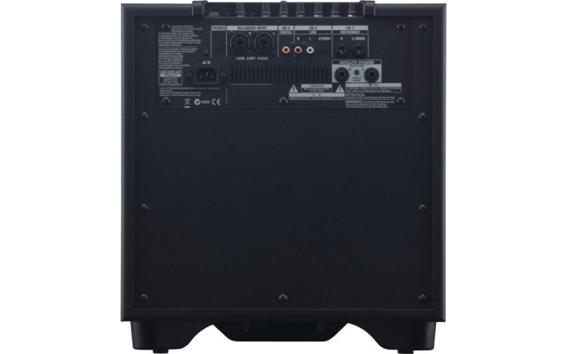 ROLAND CUBE-MONITOR-220 (CM-220) - инструментальный усилитель