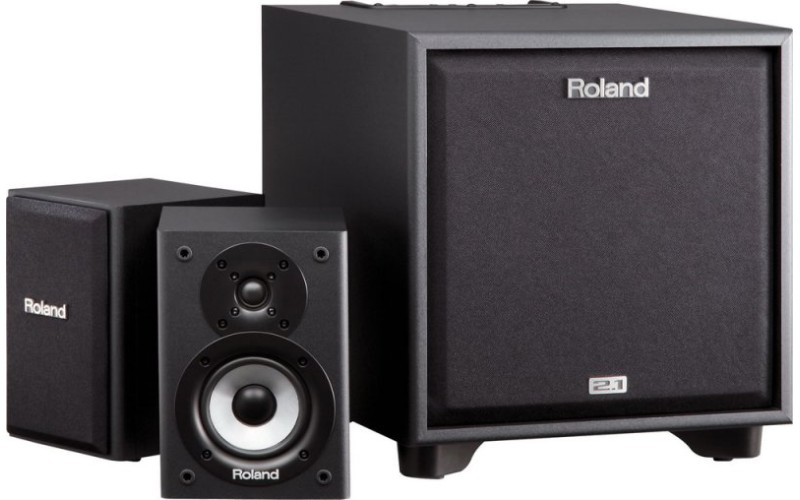 ROLAND CUBE-MONITOR-220 (CM-220) - инструментальный усилитель