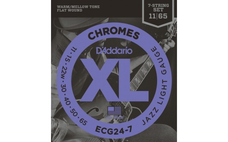D'ADDARIO ECG24-7 струны для 7 струнной электрогитары