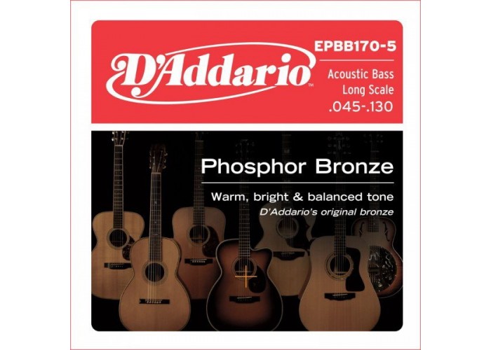 D'ADDARIO EPBB170-5 - струны акустический 5 струнной бас-гитары