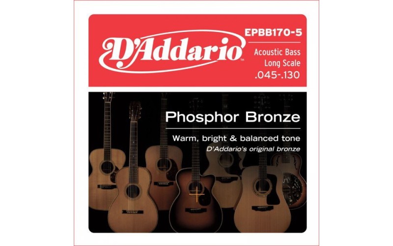 D'ADDARIO EPBB170-5 - струны акустический 5 струнной бас-гитары