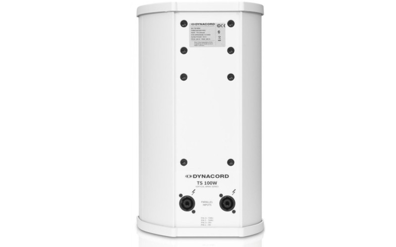 Dynacord TS100W пассивный громкоговоритель Vertical Array