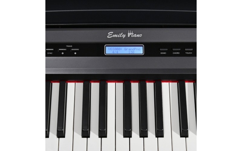 EMILY PIANO D-20 BK цифровое пианино
