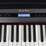 EMILY PIANO D-20 BK цифровое пианино