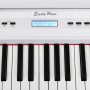 EMILY PIANO D-20 WH цифровое пианино