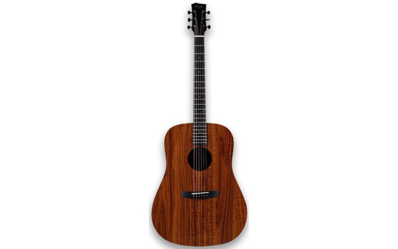 ENYA ED-X1+ - акустическая гитара, дредноут