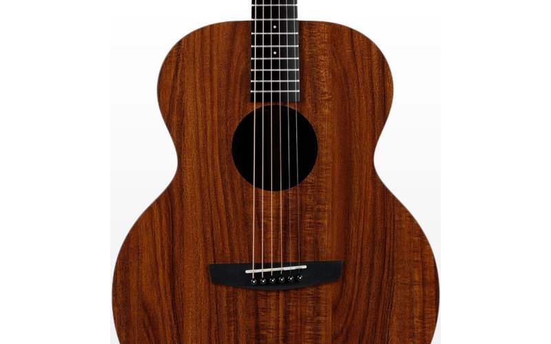 ENYA EA-X1+ - акустическая гитара