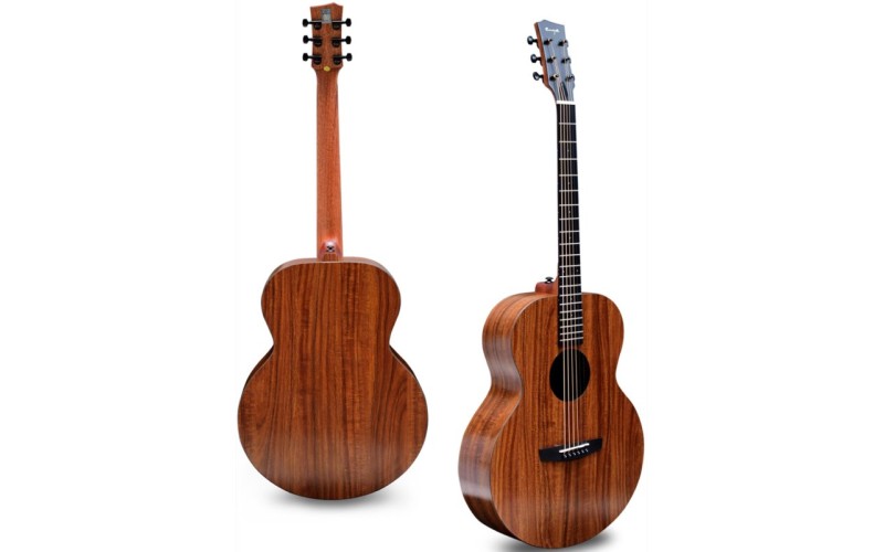 ENYA EA-X1+ - акустическая гитара